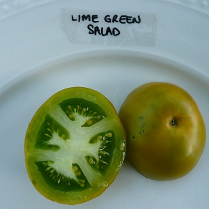  "Lime Green Salad" (10 ).