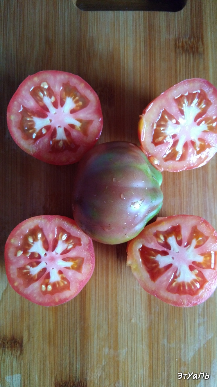 Томат этуаль. Томат Этуаль красный. Происхождение сорта томата Этуаль. Рассада помидор необычные сорта.