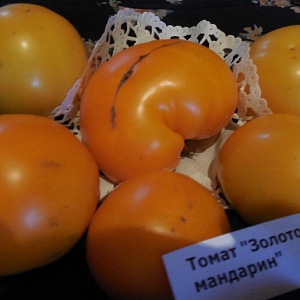 Томат "Золотой мандарин" (10 семян).