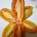 Томат "Гаванская сигара" (10 семян).