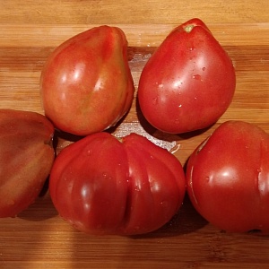 Томат "Абруццо" (10 семян).